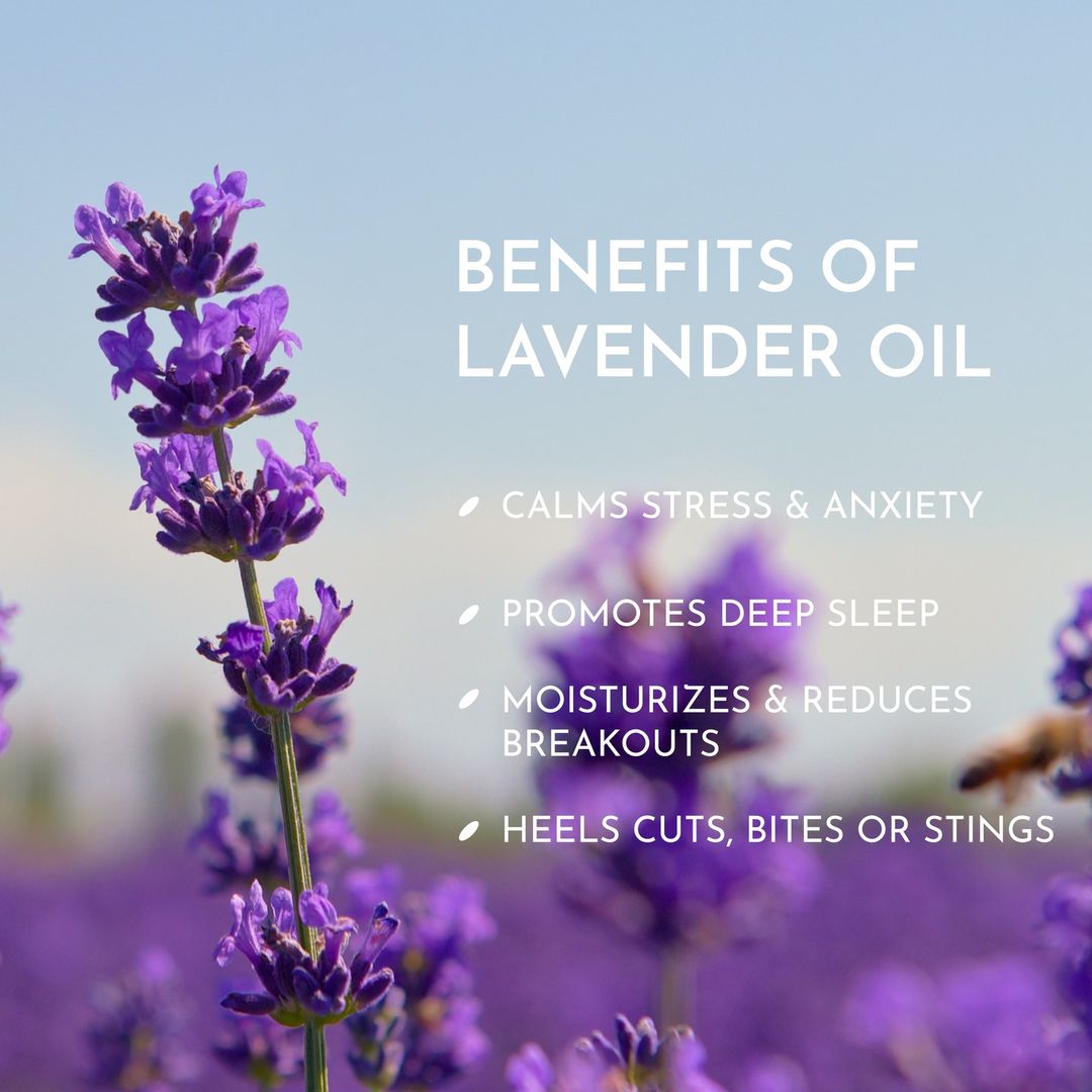 ALTEYA Organic Bulgarian Lavender Water 有機薰衣草花水 [500ml]