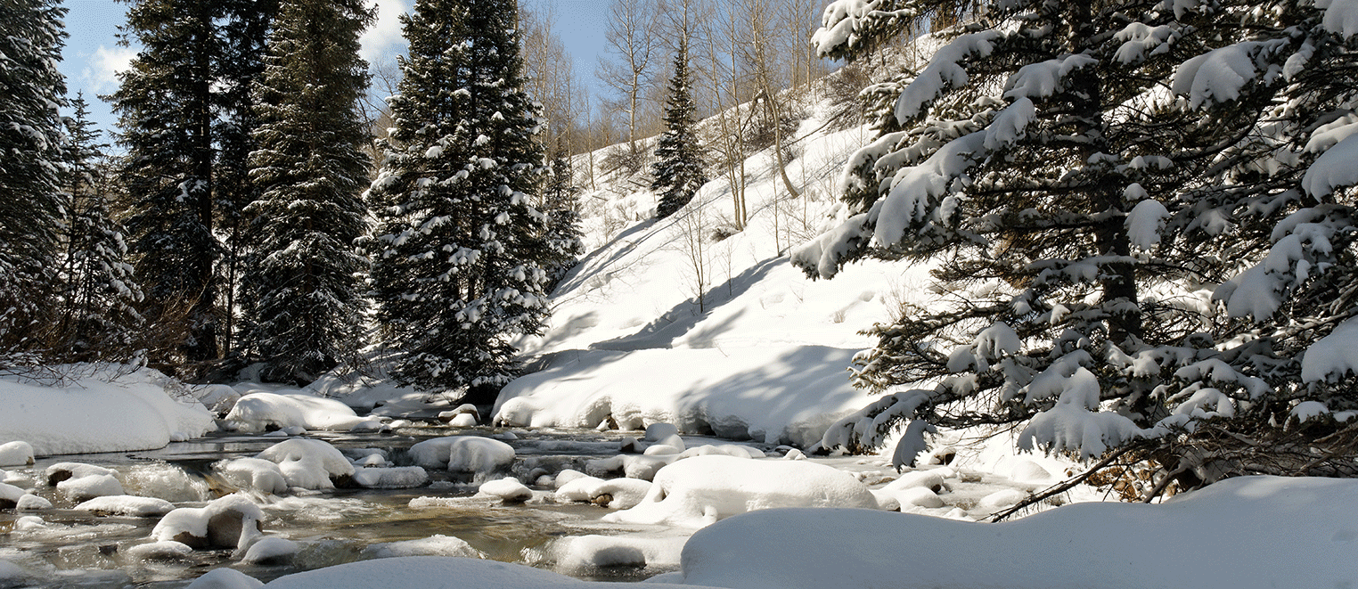 ASHCROFT ADVENTURES : WINTER PROGRAMS